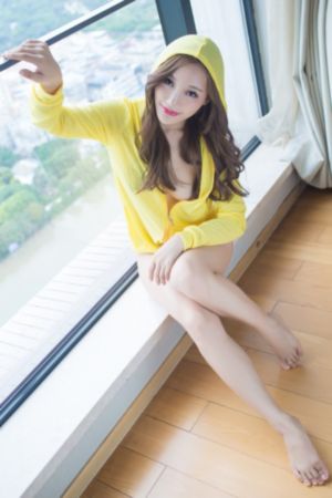 风月锦囊电视剧_DVD手机在线看